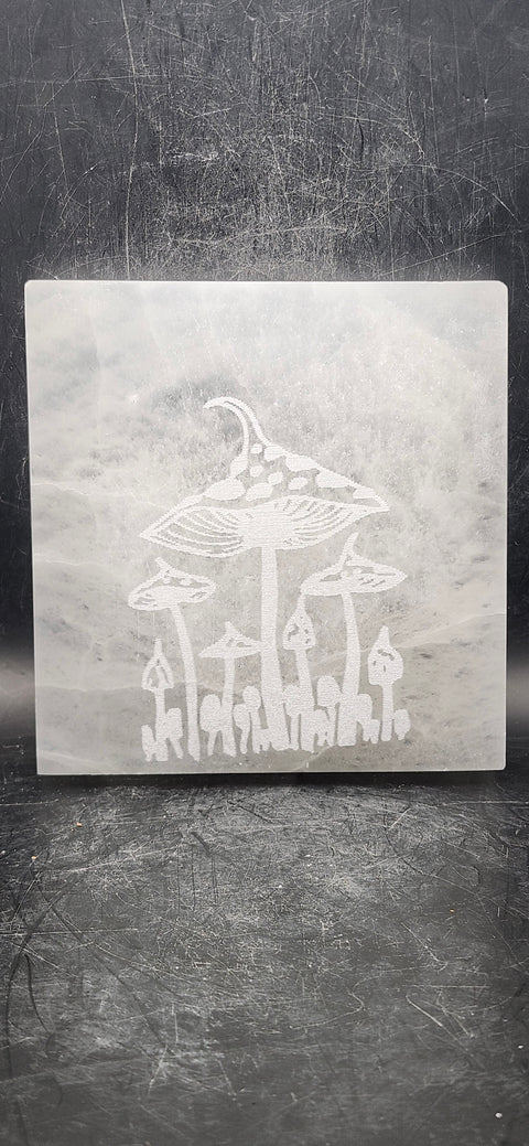 Mushroom selenite charging plate! 12 ounces, 4 inches long!