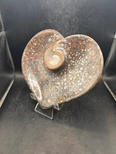 Ammonite fossil heart plate! 6 inches wide, 5.5 inches tall!