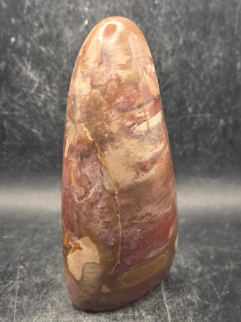 Petrified wood free form! 11.8 ounces, 4.2 inches tall, 2" wide