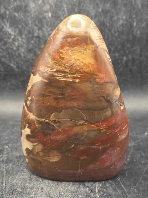 Petrified wood free form! 14.5 ounces, 3.9 inches tall, 2.7" wide