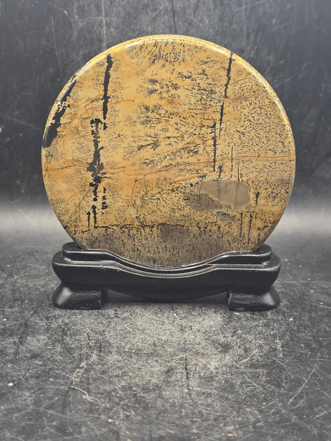Natural picture jasper slab with stand! 4.9 ounces, 3.5 inches wide!