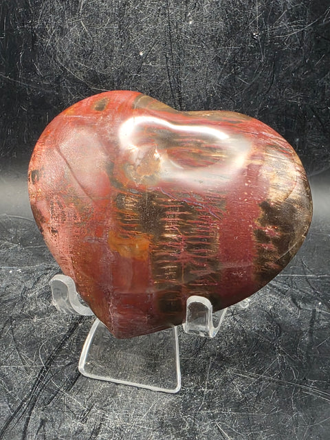 Petrified wood heart! 7.2 ounces, 3.1 inches wide by 2.7" tall