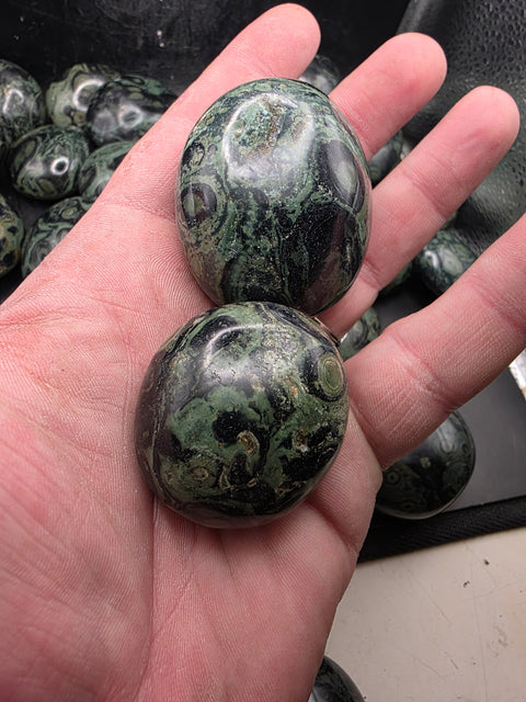 Kambaba Jasper palm stones! Set of 2! 1.6 to 2.6 inches!
