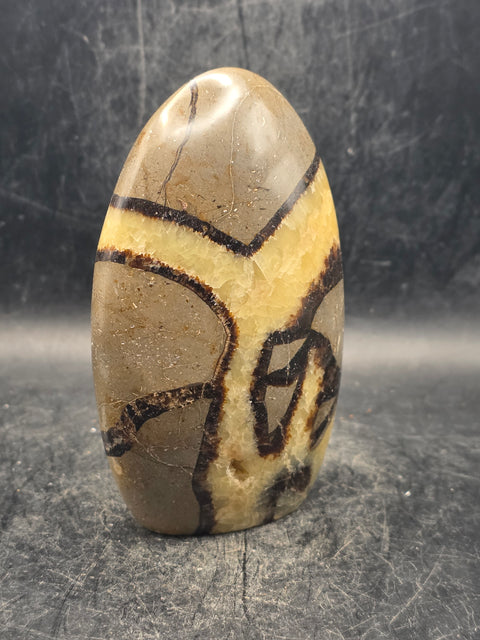 Septarian stone free form! 14 ounces, 4 inches tall, 2.6 inches wide