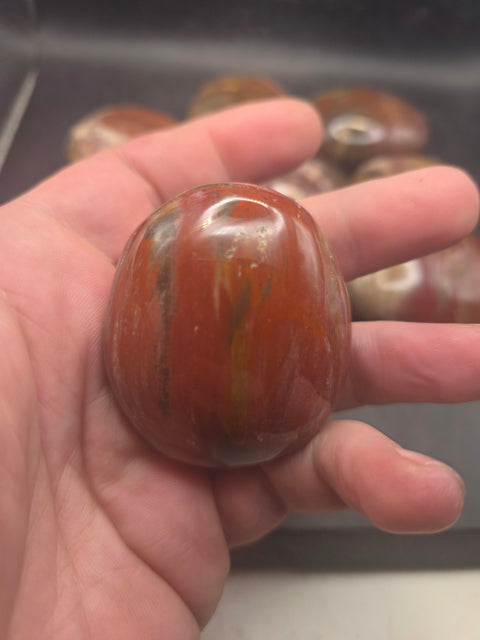 Petrified wood palm stone! 1.8 too 2.2 inches!