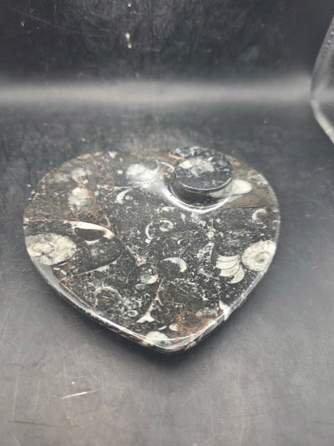 Ammonite heart fossil plate! 4.4 inches wide, 4.3 inches tall