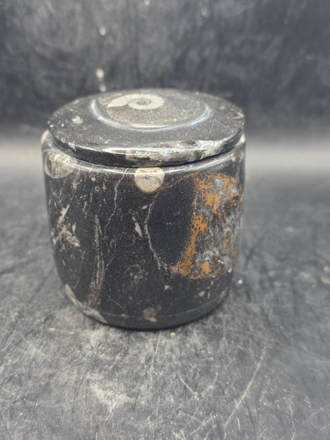 Small round fossil box! 2.4 inches tall, 2.3 inches wide, 8.6 ounces