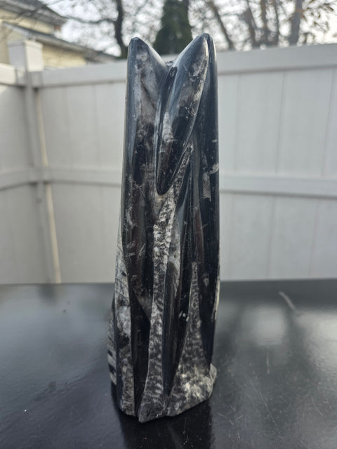 Orthoceras limestone statue! 3.5 pounds, 9 inches tall, 2.5" wide