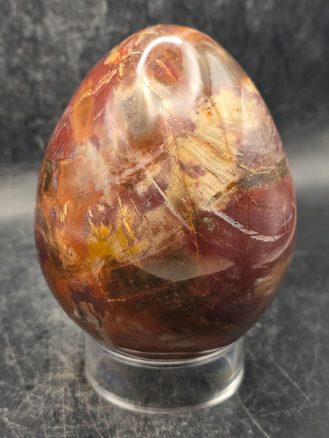 Petrified wood egg! 1.3 pounds, 3.4 inches tall, 2.6 inches wide!