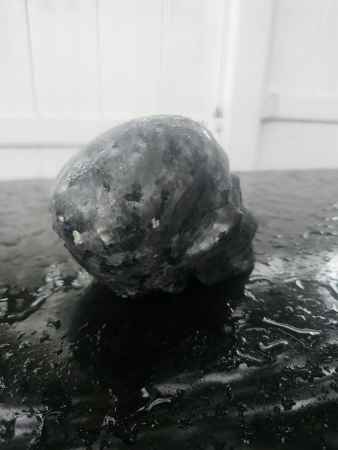 Larvikite skull! 1.3 pounds, 3.7 inches long, 2.7 tall, 2.2 wide