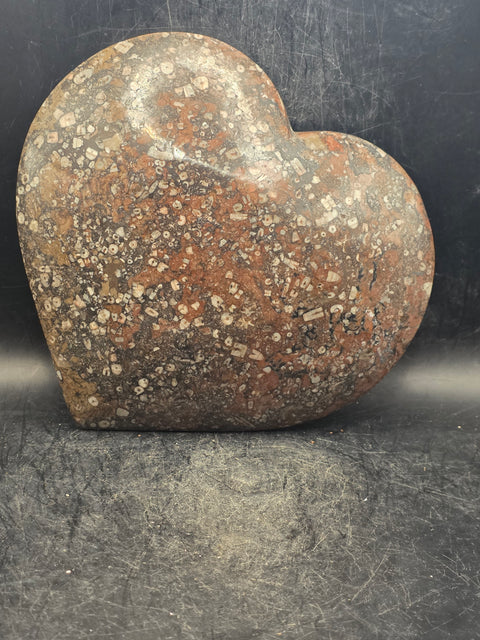 Ammonite fossil heart plate! 6 inches wide, 5.5 inches tall!