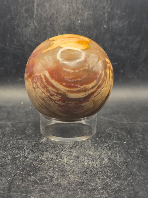 Petrified wood sphere! 65.7mm, 2.5 inches, 14.3 ounces