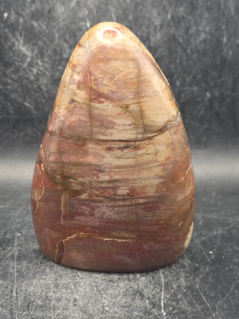 Petrified wood free form! 14.5 ounces, 3.9 inches tall, 2.7" wide