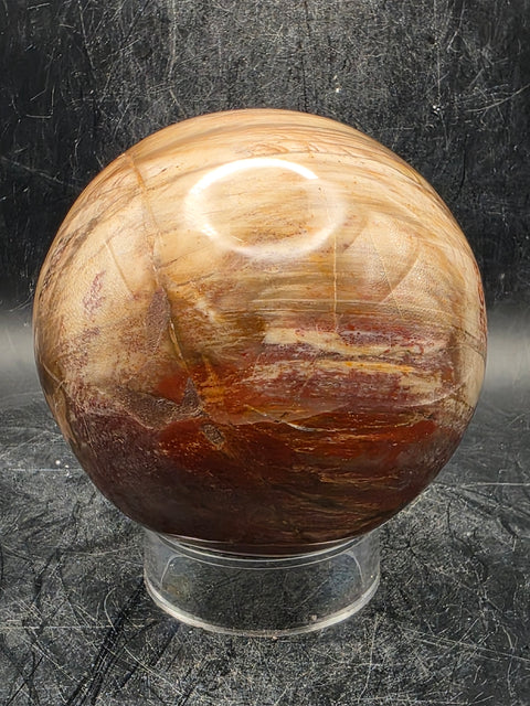 Petrified wood sphere! 79mm, 3.1 inches, 1.8 pounds!