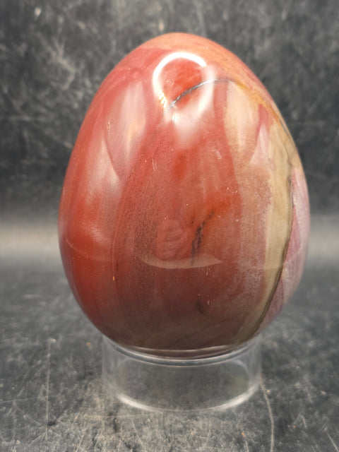 Petrified wood egg! 1.2 pounds, 3.3 inches tall, 2.6 inches wide