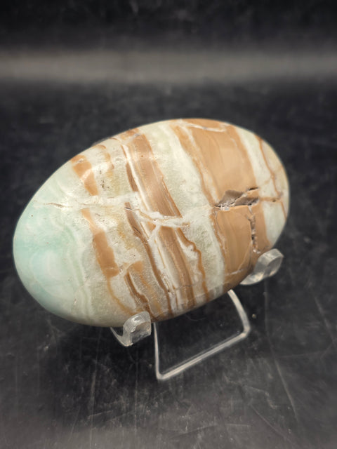 Caribbean calcite palm stone! 4.1 ounces, 2.9 inches long, 1.8" wide