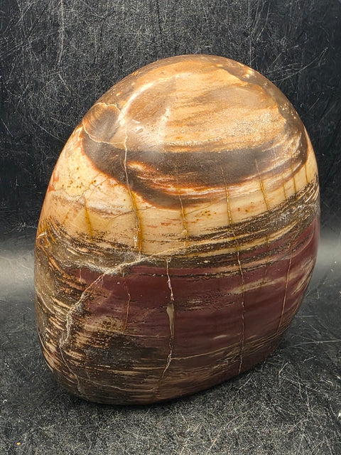 Petrified wood free form! 1.7 pounds, 3.6 inches tall, 3.3" wide!