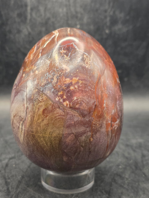 Petrified wood egg! 3.1 inches tall, 2.5 inches wide, 1 pound