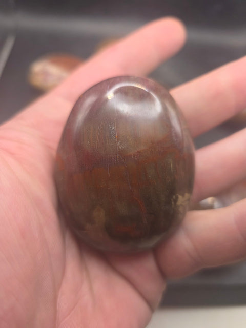 Petrified wood palm stone! 1.8 too 2.2 inches!
