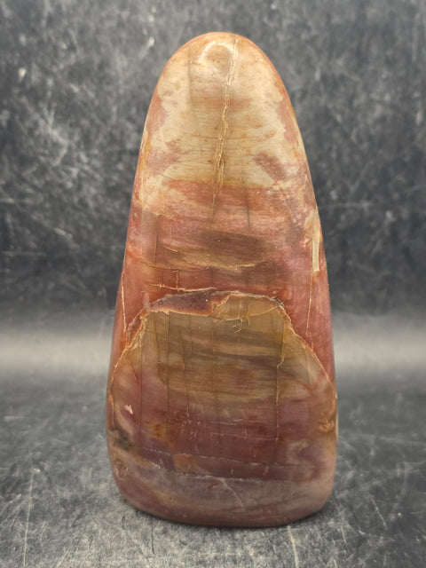 Petrified wood free form! 11.8 ounces, 4.2 inches tall, 2" wide