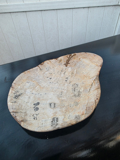 Small petrified wood plate! 9.5 inches by 7 inches, 1.5 pounds!