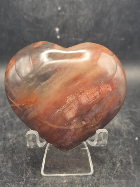 Petrified wood heart! 6.5 ounces, 2.7 inches wide, 2.5 inches tall