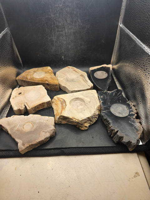 Petrified wood sphere holder! 4.2 too 5.2 inches!