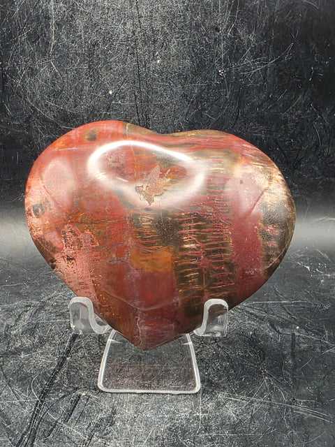 Petrified wood heart! 7.2 ounces, 3.1 inches wide by 2.7" tall
