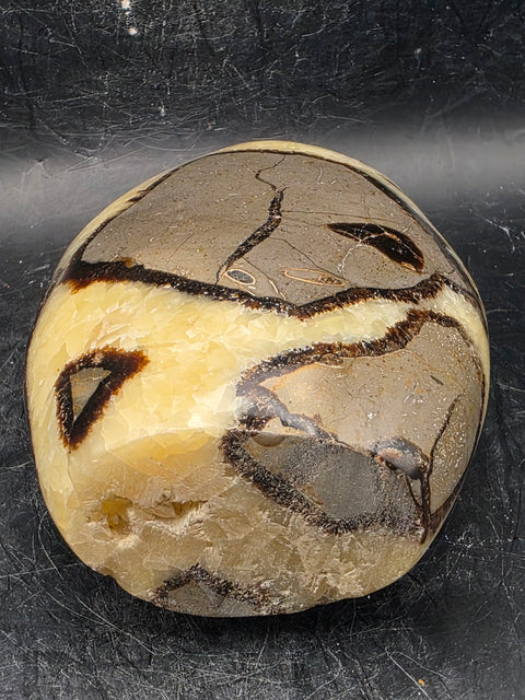 Septarian stone free form! 1.4 pounds!  4.5 inches tall, 3 inches wide