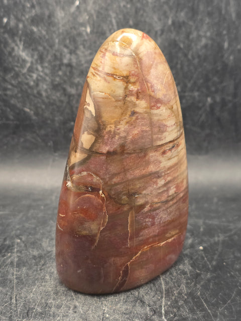 Petrified wood free form! 14.5 ounces, 3.9 inches tall, 2.7" wide