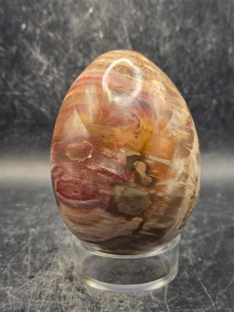 Petrified wood egg! 14.8 ounces, 3.2 inches tall, 2.3 inches wide