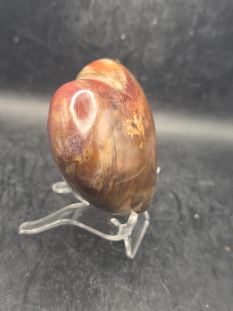 Petrified wood heart! 8.5 ounces, 2.8 by 2.8 inches!