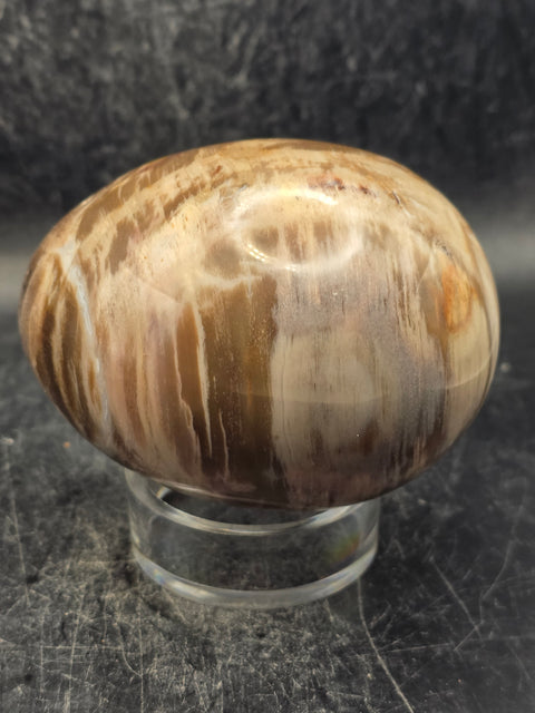 Petrified wood egg! 14.8 ounces, 3.2 inches tall, 2.3 inches wide
