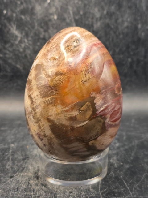 Petrified wood egg! 14.8 ounces, 3.2 inches tall, 2.3 inches wide