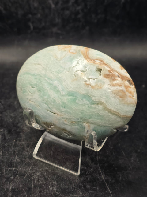 Caribbean calcite palm stone! 4.7 ounces 2.8 inches long, 2" wide