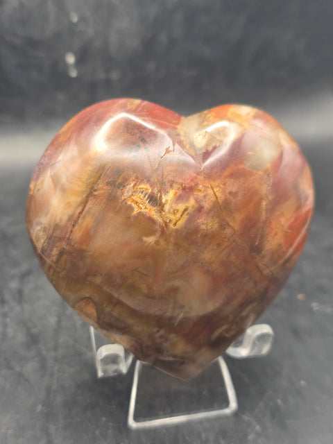 Petrified wood heart! 8.5 ounces, 2.8 by 2.8 inches!