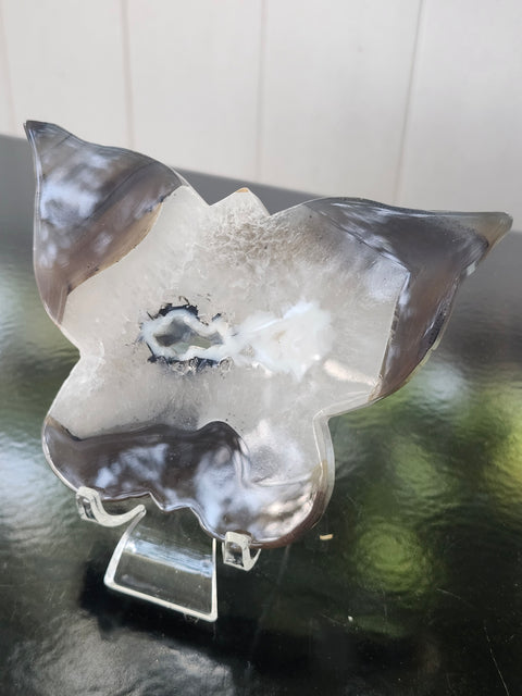 Druzy agate butterfly! 4.9 inches wide, 3.36 inches tall, 8 ounces