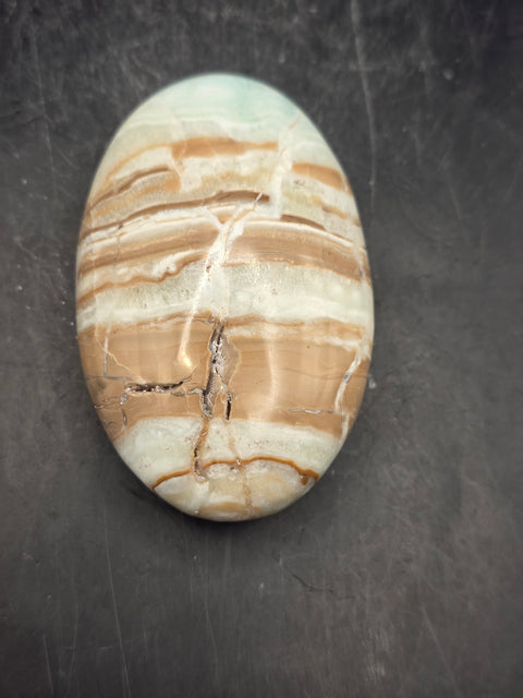 Caribbean calcite palm stone! 4.1 ounces, 2.9 inches long, 1.8" wide