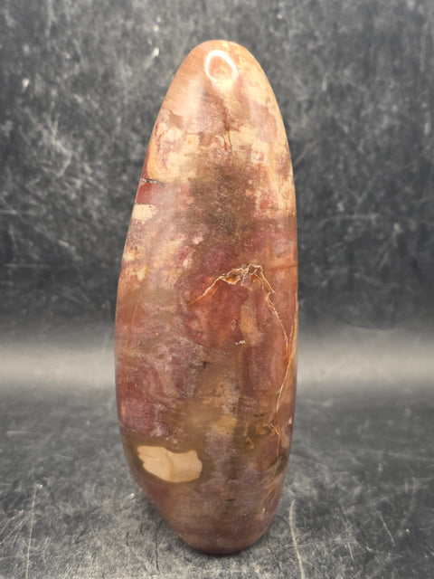 Petrified wood free form! 11.8 ounces, 4.2 inches tall, 2" wide
