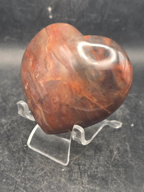 Petrified wood heart! 6.5 ounces, 2.7 inches wide, 2.5 inches tall