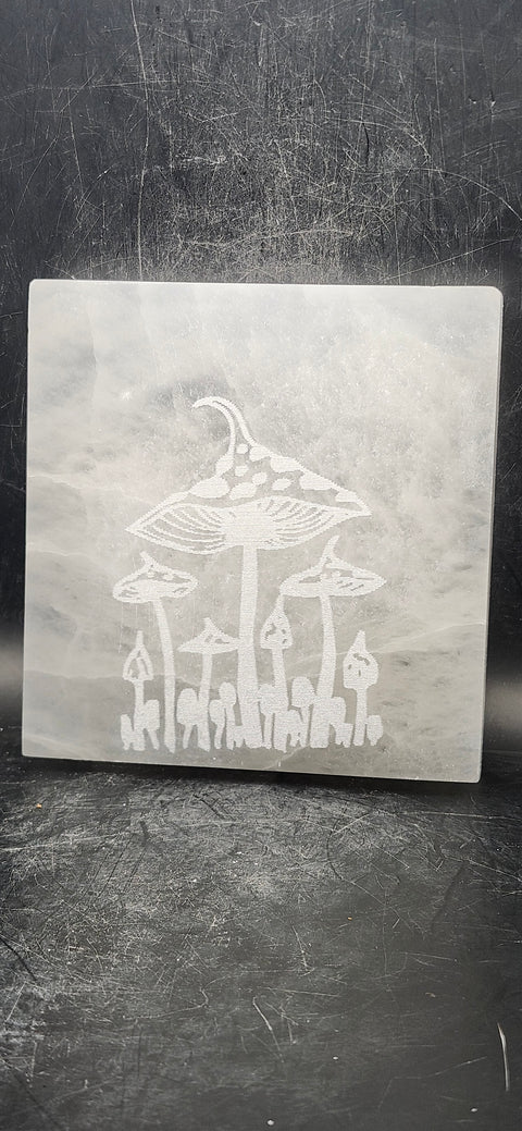 Mushroom selenite charging plate! 12 ounces, 4 inches long!