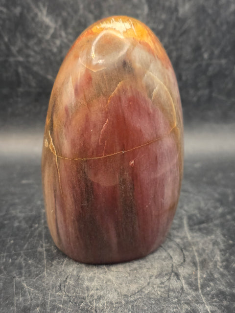 Petrified wood free form! 15.3 ounces, 3.4 inches tall, 2.3 wide