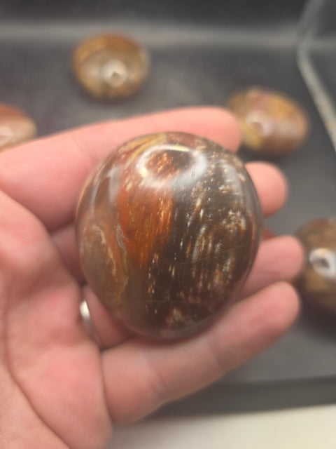 Petrified wood palm stone! 1.8 too 2.2 inches!