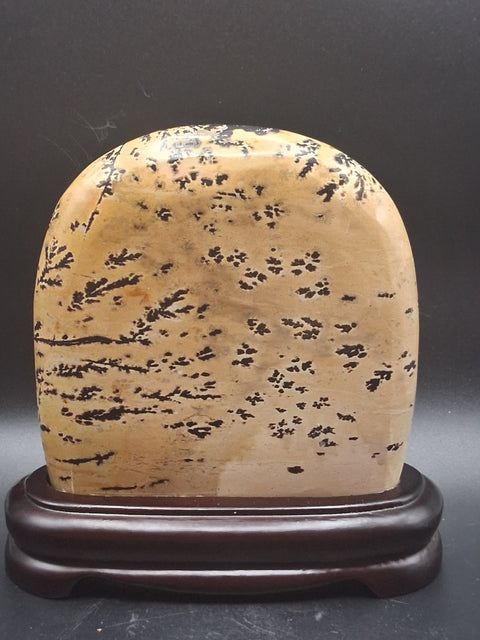 Picture jasper slab with stand! 4 by 4 inches, 1.3 pounds, 1.3" thick