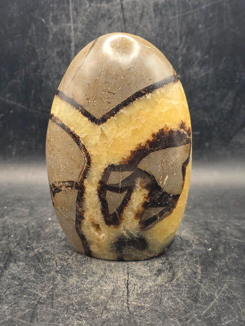 Septarian stone free form! 14 ounces, 4 inches tall, 2.6 inches wide