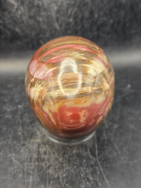 Petrified wood egg! 1.1 pounds, 3.4 inches tall, 2.5 wide