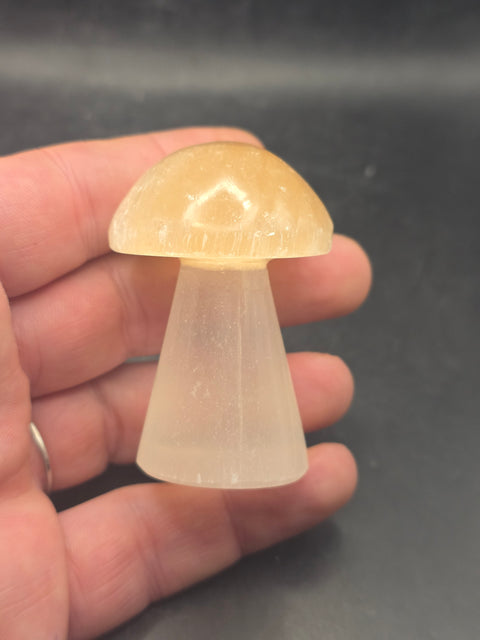 Small peach top selenite mushroom! 2.3 inches tall