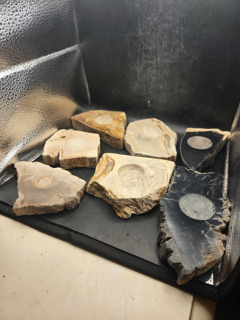 Petrified wood sphere holder! 4.2 too 5.2 inches!