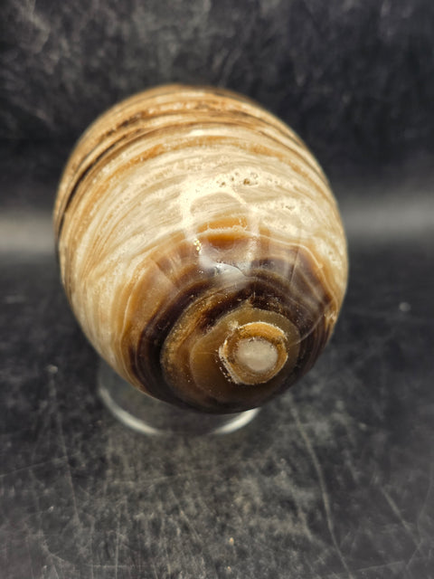 Chocolate calcite lingam! 1.6 pounds, 4.1 inches tall, 2.5" wide