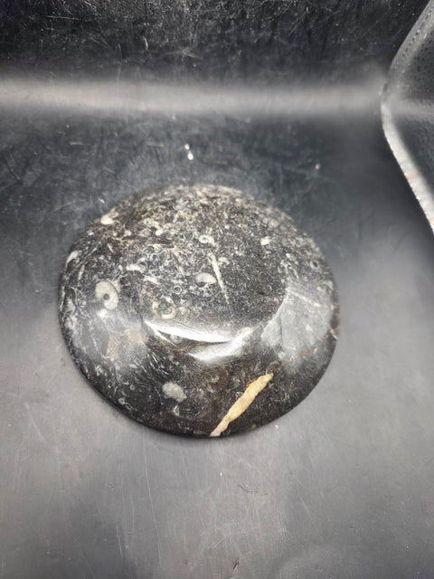 Round orthoceras ammonite fossil dish! 4.2 inches wide, 7 ounces